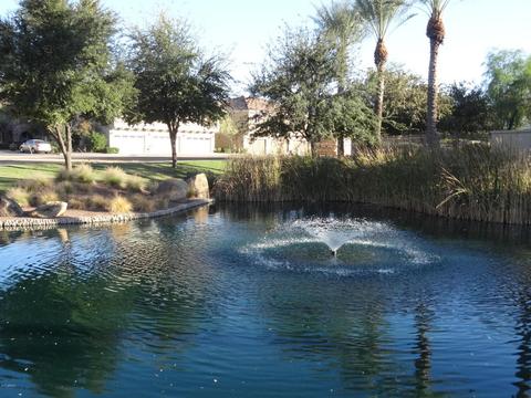 2741 S Equestrian Dr #103, Gilbert, AZ 85295 photo 17