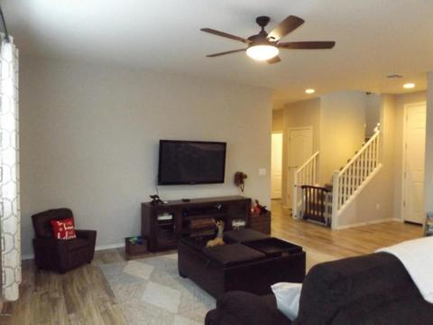 924 S Swallow Ln, Gilbert, AZ 85296 photo 10