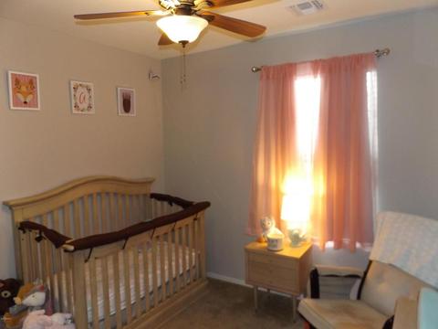 924 S Swallow Ln, Gilbert, AZ 85296 photo 39