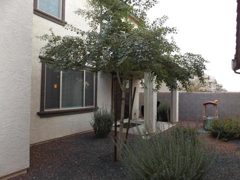 924 S Swallow Ln, Gilbert, AZ 85296 photo 21