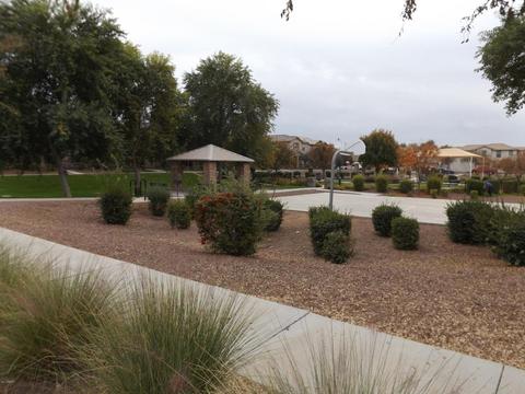 924 S Swallow Ln, Gilbert, AZ 85296 photo 61