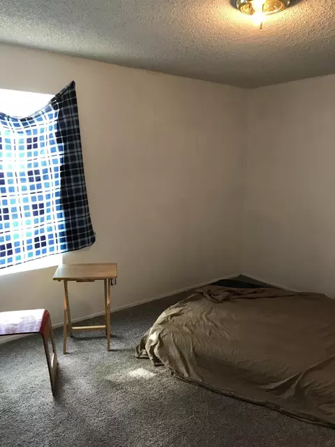 729 E Hazel Dr, Phoenix, AZ 85042 photo 15