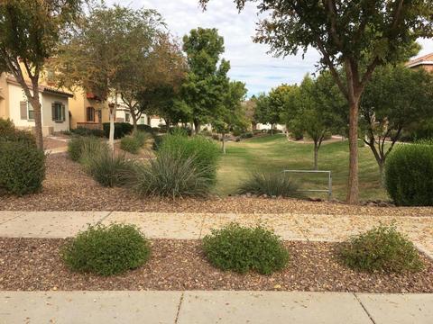 4728 E Laurel Ave, Gilbert, AZ 85234 photo 3