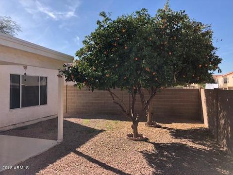 5142 E Diamond Ave, Mesa, AZ 85206 photo 23