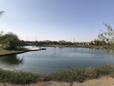 3950 E Narrowleaf Dr, Gilbert, AZ 85298 photo 58