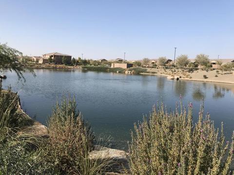 3950 E Narrowleaf Dr, Gilbert, AZ 85298 photo 60