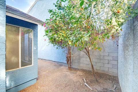 3541 E Le Marche Ave, Phoenix, AZ 85032 photo 22