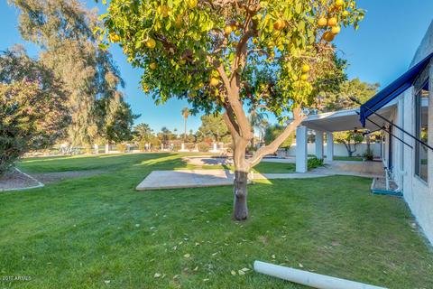44 W Thunderbird Rd, Phoenix, AZ 85023 photo 42