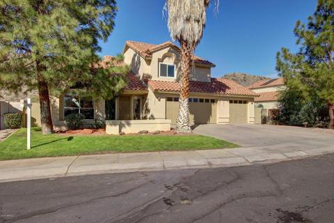 9858 S 43rd Pl, Phoenix, AZ 85044 photo 4