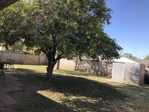 204 E Fordham Dr, Tempe, AZ 85283 photo 22
