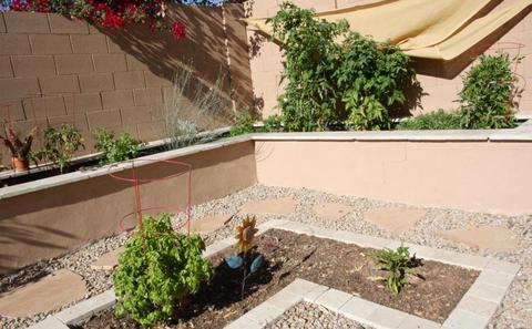 3002 E Robin Ln, Gilbert, AZ 85296 photo 36