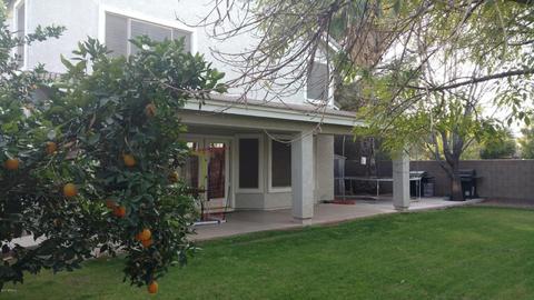 3422 E Lexington Ct, Gilbert, AZ 85234 photo 17
