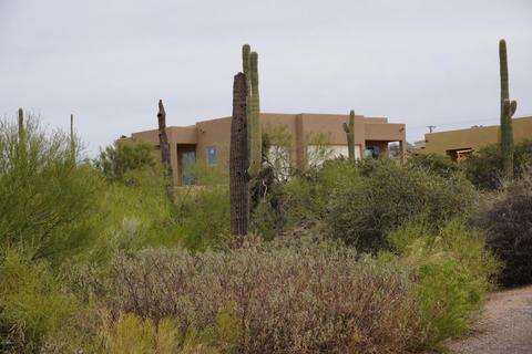 5470 E Reavis St, Apache Junction, AZ 85119 photo 3