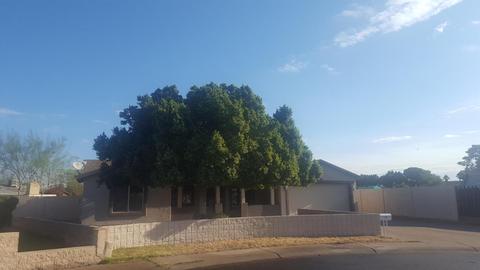 1027 N 60th Ave, Phoenix, AZ 85043 photo 3