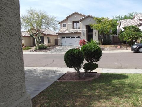 3919 E Taro Ln, Phoenix, AZ 85050 photo 35