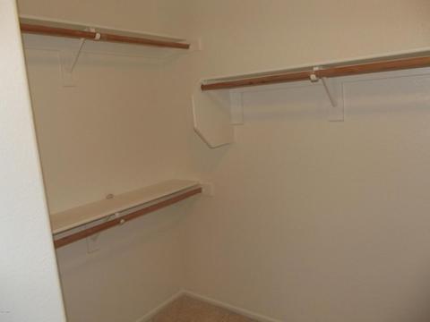 3919 E Taro Ln, Phoenix, AZ 85050 photo 19