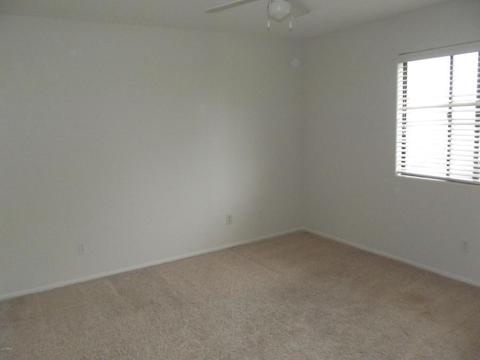 3919 E Taro Ln, Phoenix, AZ 85050 photo 29