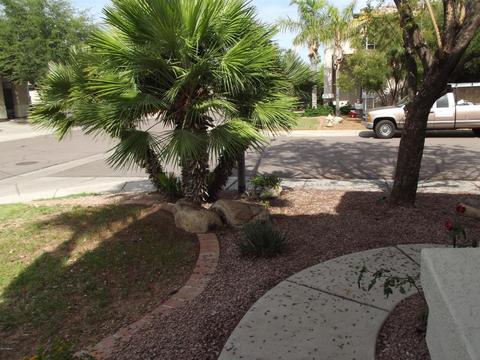 3919 E Taro Ln, Phoenix, AZ 85050 photo 40