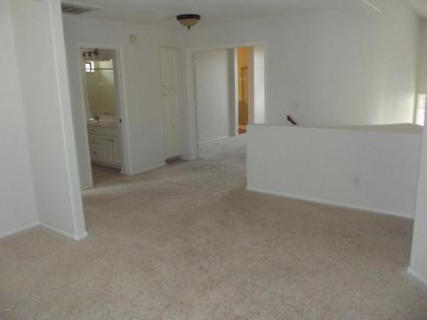 3919 E Taro Ln, Phoenix, AZ 85050 photo 23