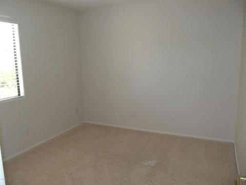3919 E Taro Ln, Phoenix, AZ 85050 photo 26