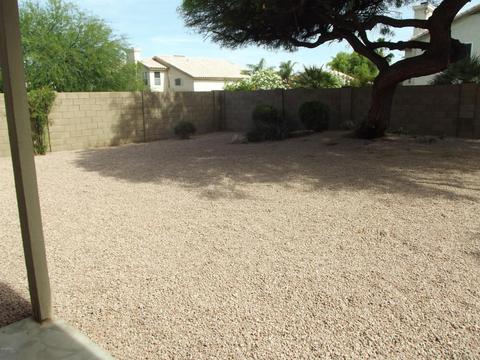 3919 E Taro Ln, Phoenix, AZ 85050 photo 9