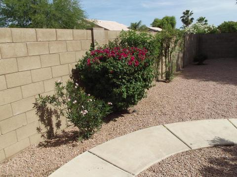 3919 E Taro Ln, Phoenix, AZ 85050 photo 38
