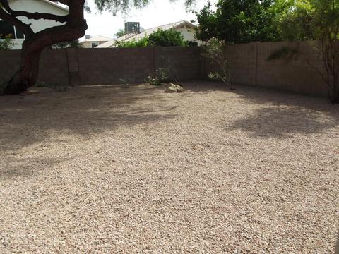 3919 E Taro Ln, Phoenix, AZ 85050 photo 10