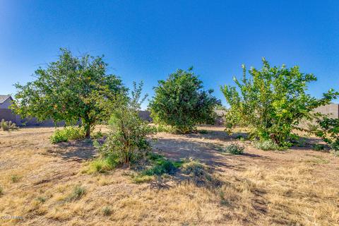 10647 E Fenimore Rd, Mesa, AZ 85207 photo 27
