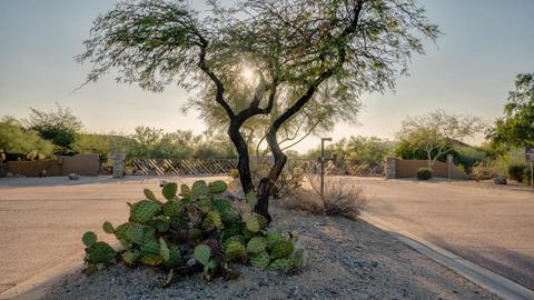 7953 E Sandia Cir, Mesa, AZ 85207 photo 55