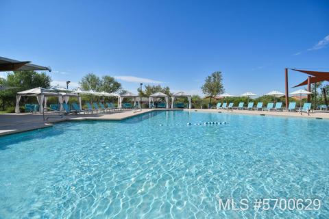 3840 E Melinda Dr, Phoenix, AZ 85050 photo 21