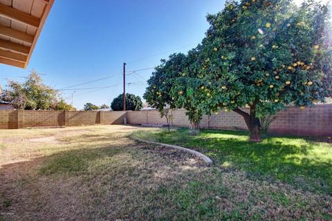 855 E Dolphin Ave, Mesa, AZ 85204 photo 22