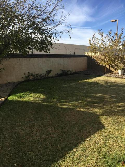 3217 E Hartford Ave, Phoenix, AZ 85032 photo 30
