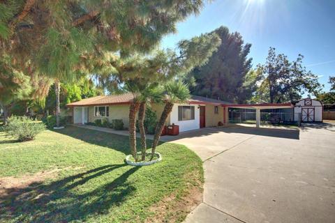 1751 E Indigo St, Mesa, AZ 85203 photo 4