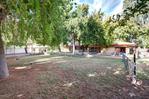 1751 E Indigo St, Mesa, AZ 85203 photo 51