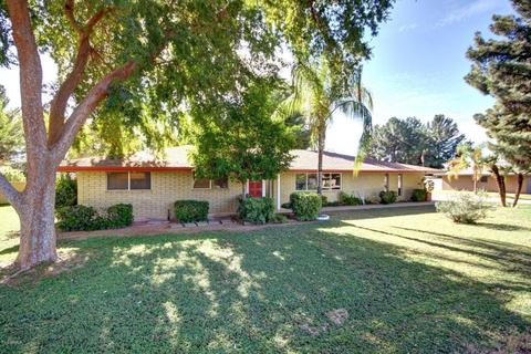 1751 E Indigo St, Mesa, AZ 85203 photo 9