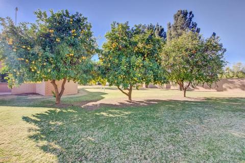 3228 E Redfield Rd, Gilbert, AZ 85234 photo 64
