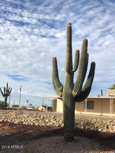 1032 E Scenic St, Apache Junction, AZ 85119 photo 10