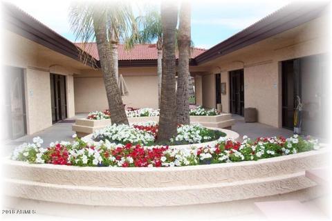 8104 E Meseto Ave, Mesa, AZ 85209 photo 71