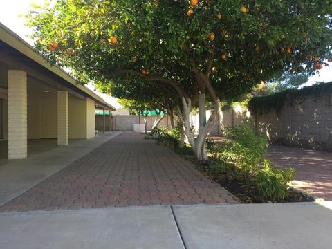 1560 E Hope St, Mesa, AZ 85203 photo 36
