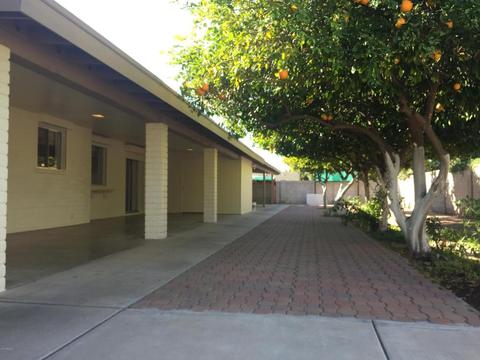 1560 E Hope St, Mesa, AZ 85203 photo 37