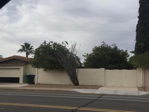 1560 E Hope St, Mesa, AZ 85203 photo 48