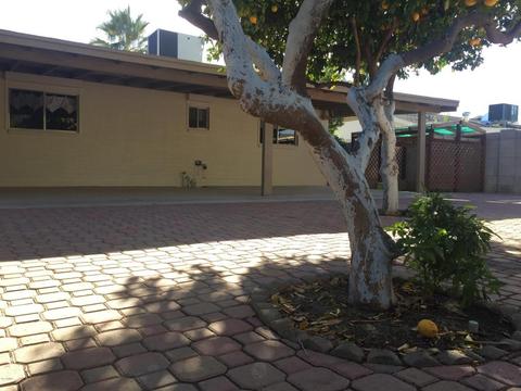 1560 E Hope St, Mesa, AZ 85203 photo 42