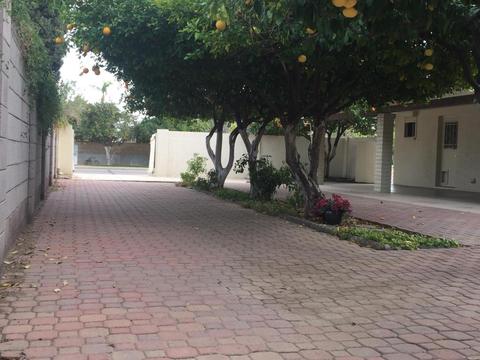 1560 E Hope St, Mesa, AZ 85203 photo 45