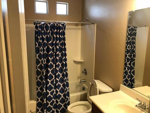 3499 E Windsor Dr, Gilbert, AZ 85296 photo 14