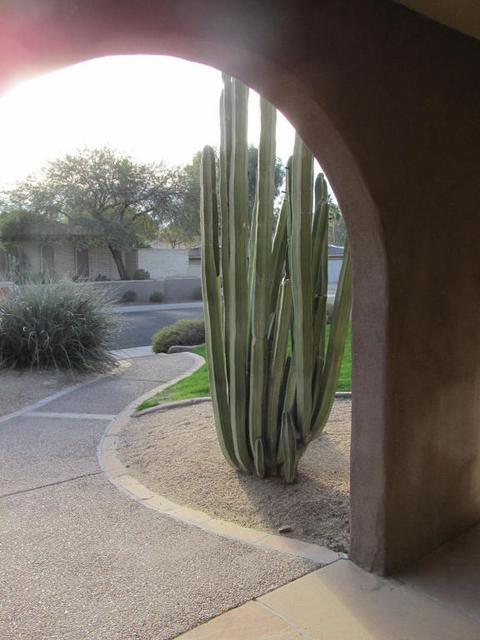 9231 N 29th St, Phoenix, AZ 85028 photo 2