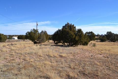 3932 Hidden Ranch Rd, Snowflake, AZ 85937 photo 36