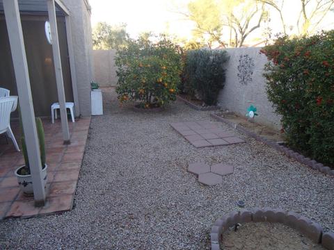 4032 E Larkspur Dr, Phoenix, AZ 85032 photo 27