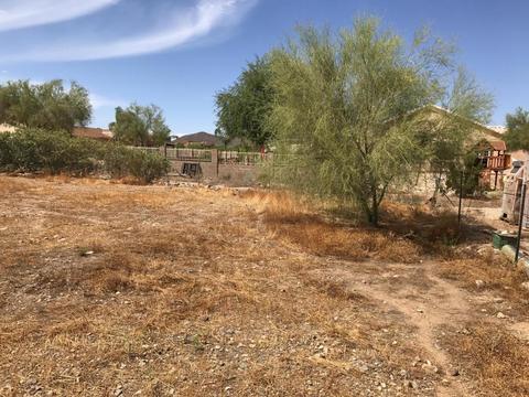2304 E Maddock Rd, Phoenix, AZ 85086 photo 23