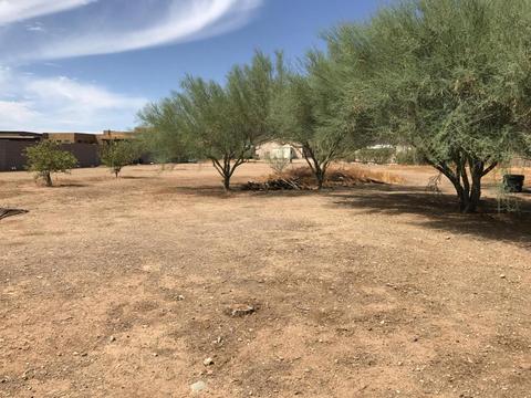 2304 E Maddock Rd, Phoenix, AZ 85086 photo 5