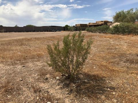 2304 E Maddock Rd, Phoenix, AZ 85086 photo 27